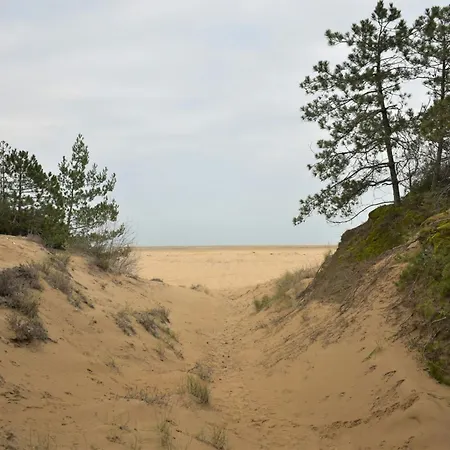 Large Row House With Private Fenced Garden For 10 Guests In Lignano Pineta Szálloda