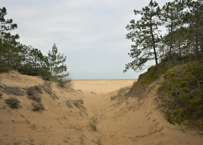 Large Row House With Private Fenced Garden For 10 Guests In Lignano Pineta 酒店